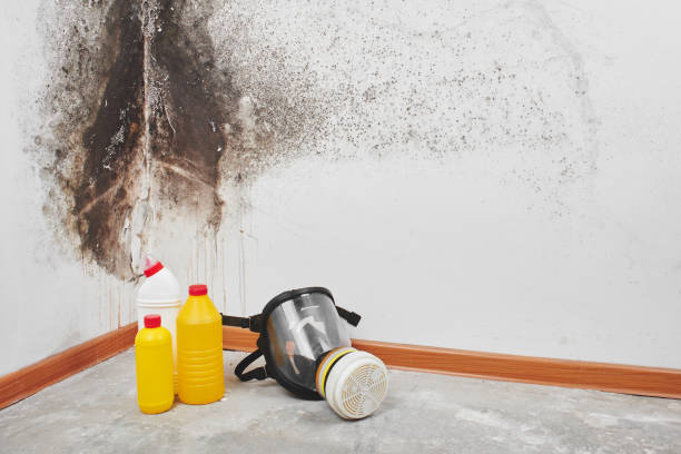 Crawl Space Mold Removal in Flanders, NJ