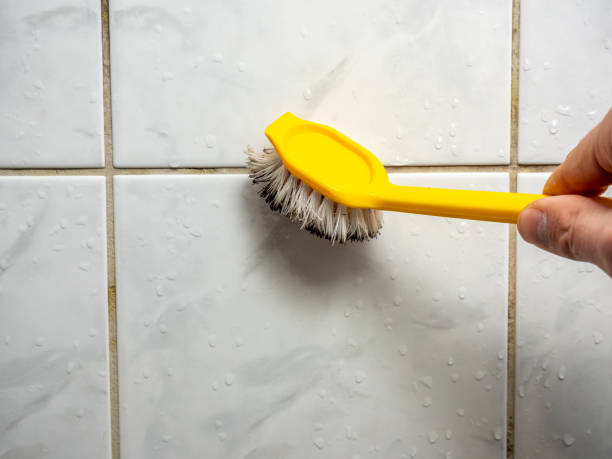 Best Black Mold Removal  in Flanders, NJ