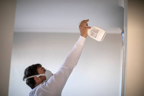 Best Fast Mold Removal  in Flanders, NJ
