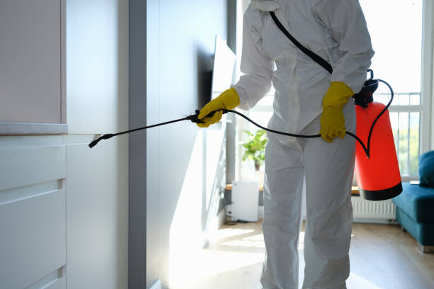 Best Mold Cleaning Services  in Flanders, NJ