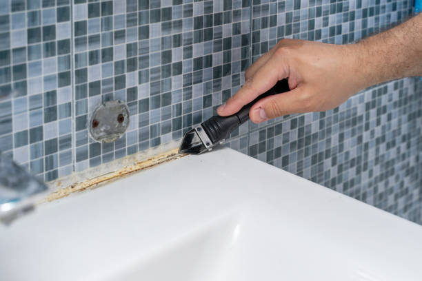 Best Home Mold Removal  in Flanders, NJ