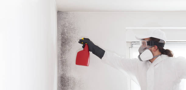 Best Certified Mold Removal  in Flanders, NJ