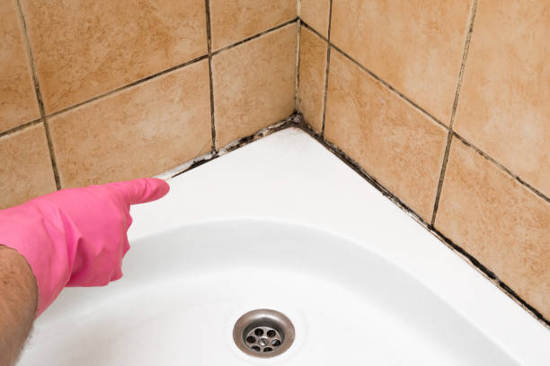 Best Affordable Mold Removal  in Flanders, NJ